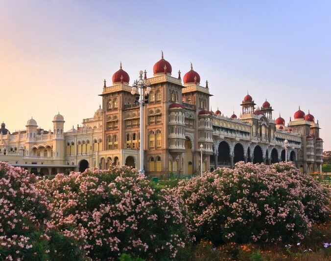 unforgettable journeys with david tours