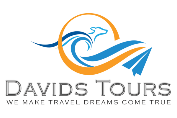 Davids Tours