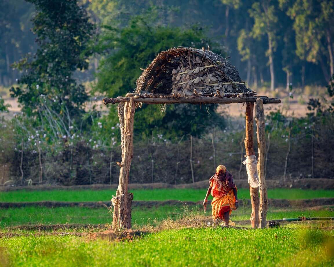 national park tour in india